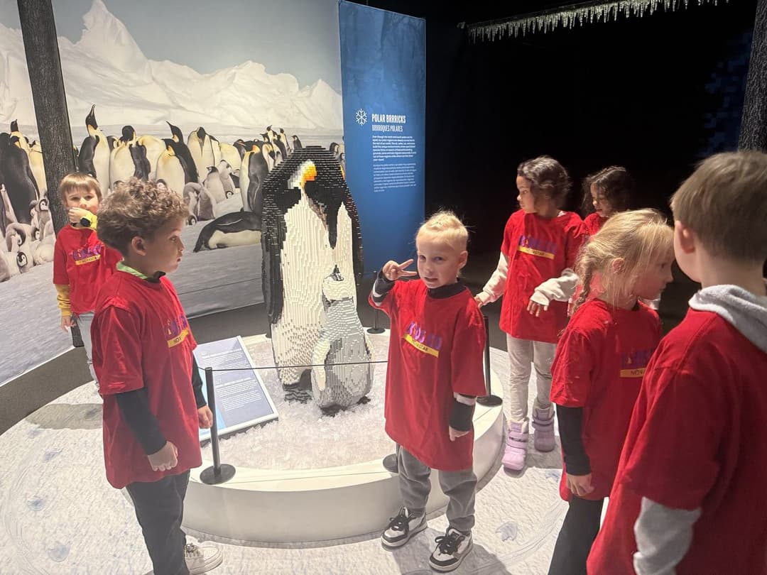 Students in matching red shirts look at a penguin exhibit on a field trip